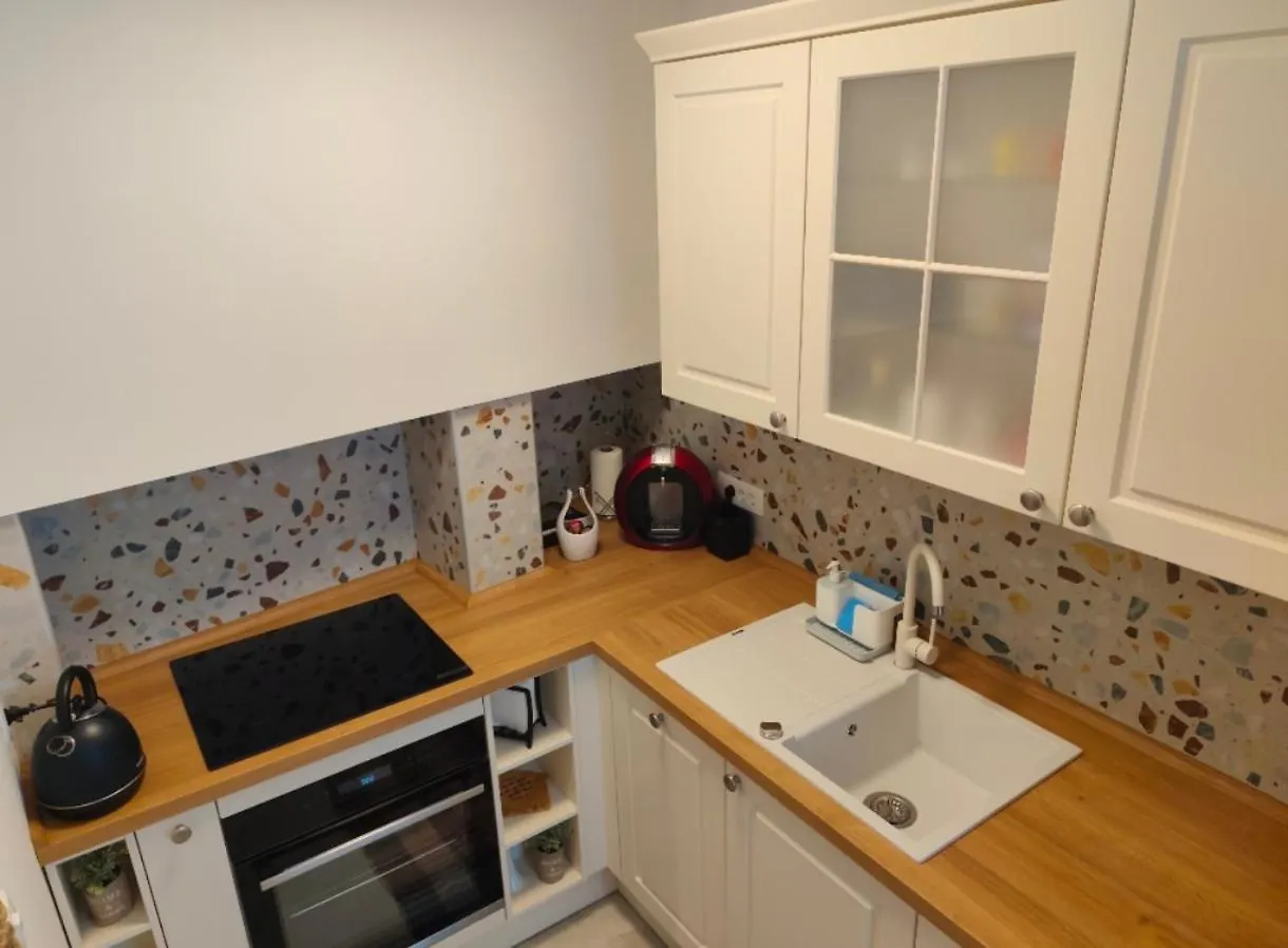 Ap Downtown Apartment Ρόβινι